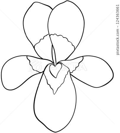 Illustration of row of edible viola flowers Illustration of row of edible viola flowers 124363661
