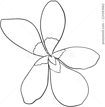Illustration of row of edible viola flowers 124363662