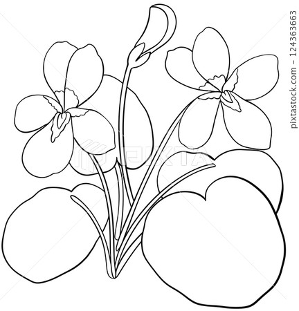 Illustration of row of edible viola flowers Illustration of row of edible viola flowers 124363663