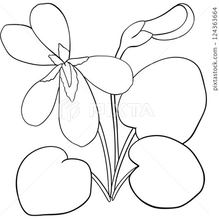 Illustration of row of edible viola flowers 124363664