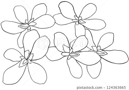 Illustration of row of edible viola flowers Illustration of row of edible viola flowers 124363665