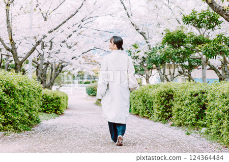 Back view of a young woman walking along a row of cherry blossom trees Back view of a young woman walking along a row of cherry blossom trees 124364484