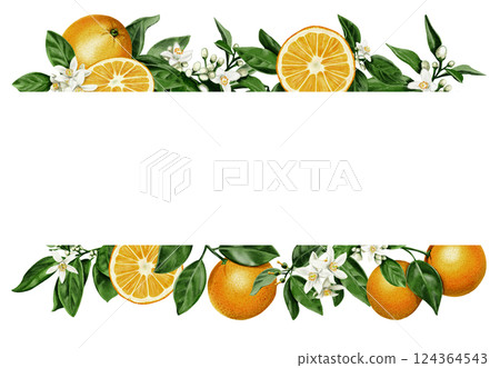 frame of oranges. Juicy and orange fruits with orange blossom leaves and flowers. Citrus border. Watercolor illustration. No background.  124364543