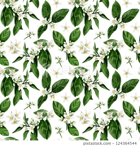 Seamless pattern of orange tree flowers. Leaves and branches with white buds and flowers. Orange blossom. Watercolor illustration. No background.  124364544