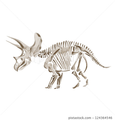 Treceratops dinosaur skeleton. Beige fossil. Bones in monochrome. Museum exhibit. Prehistoric find. Watercolor illustration isolated from background. Hand drawn. High quality illustration Treceratops dinosaur skeleton. Beige fossil. Bones in monochrome. Museum exhibit. Prehistoric find. Watercolor illustration isolated from background. Hand drawn. High quality illustration 124364546