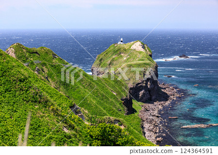 The walking trail leading to Cape Kamui Lighthouse, Shakotan Town, Hokkaido [May] 124364591