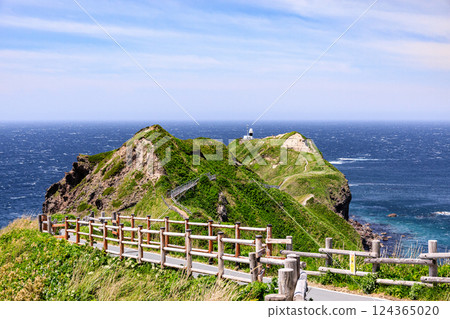 The walking trail leading to Cape Kamui Lighthouse, Shakotan Town, Hokkaido [May] 124365020