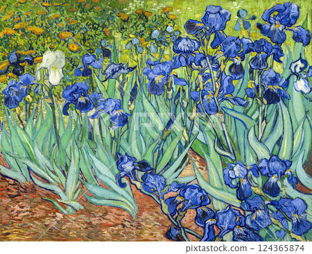 Irises by Vincent van Gogh, 1889 124365874