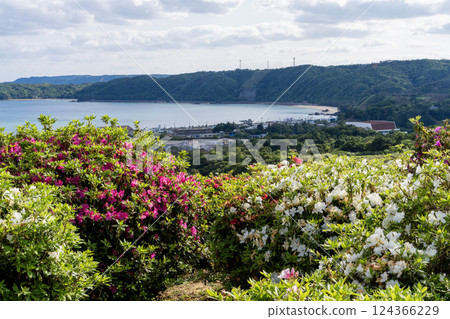 Gorgeous azaleas and scenery in Higashimura Gorgeous azaleas and scenery in Higashimura 124366229