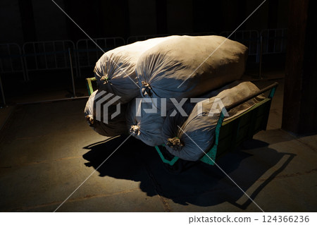 黑暗中的可疑麻袋 124366236