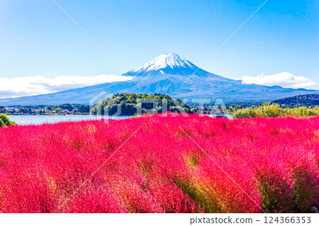 Mount Fuji under a blue sky and bright red kochia 124366353