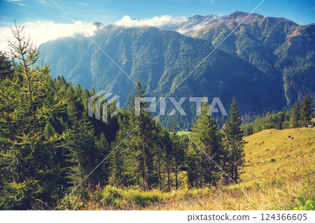 Mountain landscape on a sunny day. View from Grossglockner High Alpine Road. Austria, Europe 124366605