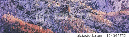 View of snowy mountain slope with trees covered with snow. Nature background. Horizontal banner 124366752