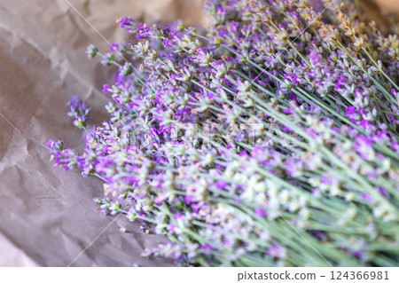 Fresh lavender wrapped in a sheet of paper Fresh lavender wrapped in a sheet of paper 124366981