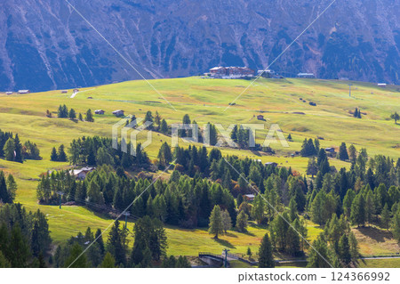 Dolomites Alpe di Siusi, Italy landscape 124366992