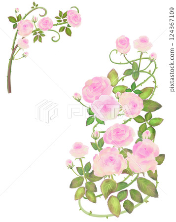 裝飾玫瑰框架，水彩風格，攀緣玫瑰的插圖 124367109