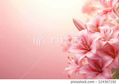 lilies on pink background, copy space for text 124367192