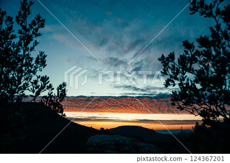 Tranquil Evening Landscape with Silhouetted Trees 124367201