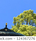藍天下生長的神社和大樹 124367276