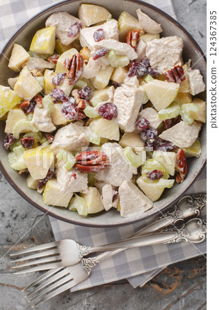 Homemade vitamin autumn salad with chicken, celery, apple, pecan and dried cranberries close-up in a bowl on the table. Vertical top view 124367385
