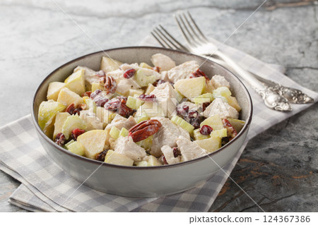 Fresh autumn salad with chicken, celery, apple, pecan and dried cranberries close-up in a bowl. Horizontal 124367386