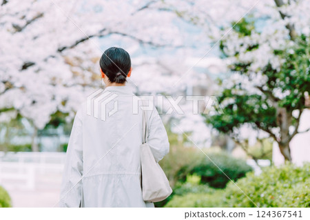 Back view of a young woman walking along a row of cherry blossom trees Back view of a young woman walking along a row of cherry blossom trees 124367541