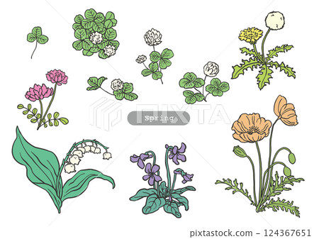 春天的花朵手繪插圖 124367651