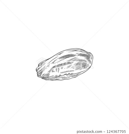 Black and White Sketch of Madeleine Dessert in Vector Style, Hand Drawn. 124367705