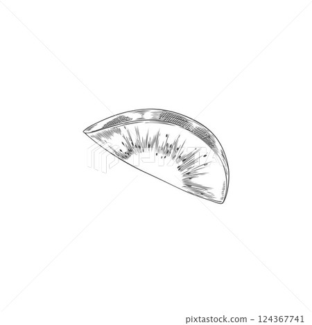 Kiwi fruit slice hand drawn vector engraved illustration, tropical fruit piece sketch, organic snack, fondue ingredient Kiwi fruit slice hand drawn vector engraved illustration, tropical fruit piece sketch, organic snack, fondue ingredient 124367741