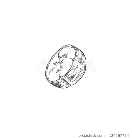 Vector monochrome illustration of hand drawn round banana slice sketch. Vector monochrome illustration of hand drawn round banana slice sketch. 124367754