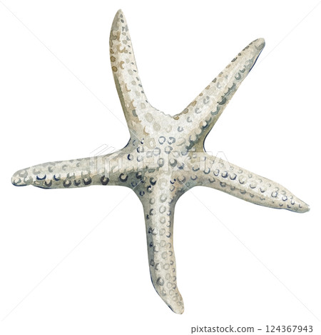 white starfish watercolor illustration, sea animal isolated on white, tropical marine creature, underwater ocean nature 124367943