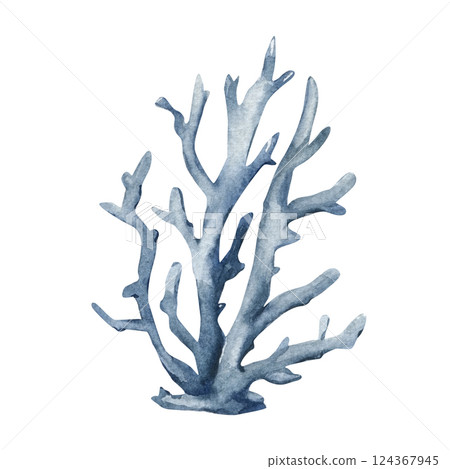 blue coral branch watercolor illustration, marine plant isolated on white, underwater ocean element, tropical sea flora 124367945
