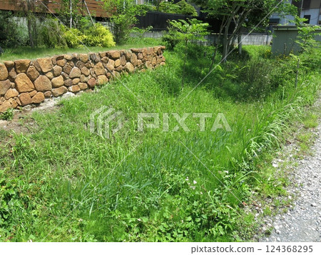 飯能市中山家宅邸遺址的護城河遺跡 飯能市中山家宅邸遺址的護城河遺跡 124368295