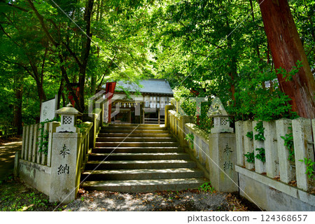 被新綠環繞的小倉神社 124368657