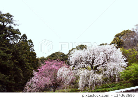 Chokozan Shotaiji Temple Chokozan Shotaiji Temple 124368696