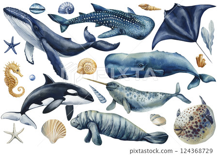 marine animals and shells watercolor whale shark orca narwhal stingray manatee seahorse fish starfish ocean sea life set marine animals and shells watercolor whale shark orca narwhal stingray manatee seahorse fish starfish ocean sea life set 124368729