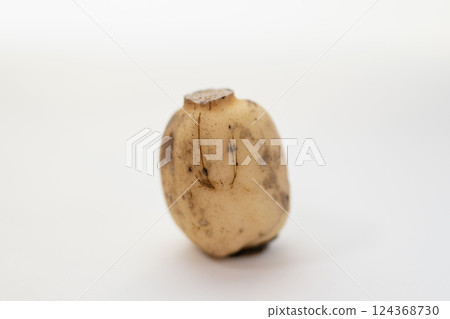 lotus root 124368730