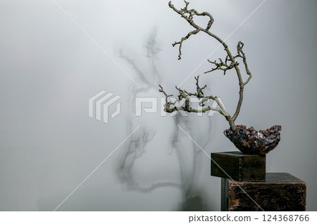 Minimalist Bonsai Art Against Misty Background Minimalist Bonsai Art Against Misty Background 124368766