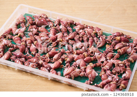 Firefly squids arranged on a tray 124368918