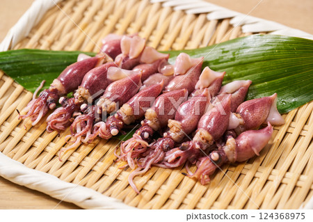 濾鍋裡的螢火蟲魷魚 濾鍋裡的螢火蟲魷魚 124368975