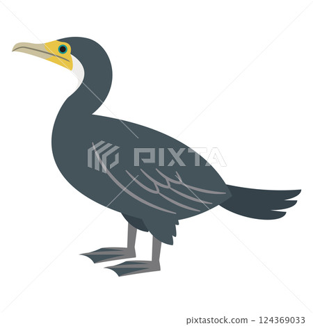 Illustration of a cormorant 124369033