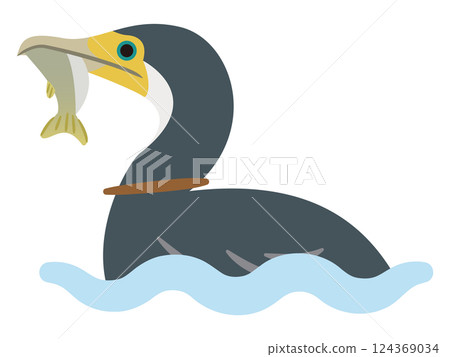 Illustration of a cormorant Illustration of a cormorant 124369034