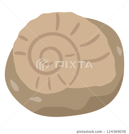 菊石化石圖 124369036