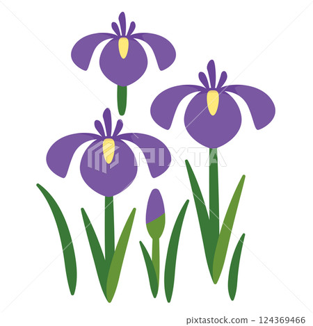 虹膜圖 虹膜圖 124369466