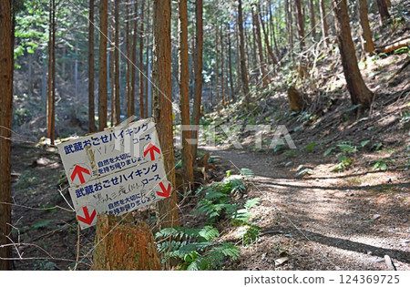 Ogose Town Kuroyama Sandaki Waterfalls Hiking Course 124369725