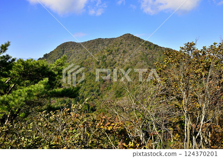 從禦坂山脈的五甲山望去的御鳳分山的紅葉 124370201