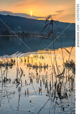 諹訪湖的早晨 [照片拍攝地：下諡訪町] 124370292