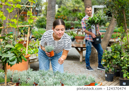 Female customer picking potted Helichrysum tianschanicum plant at garden shop 124370474