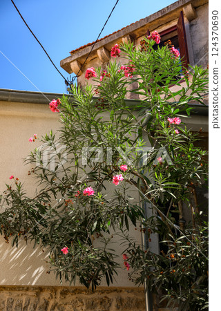 Jelsa old town on the Adriatic island of Hvar in the county of Split-Dalmatia in Croatia 124370690