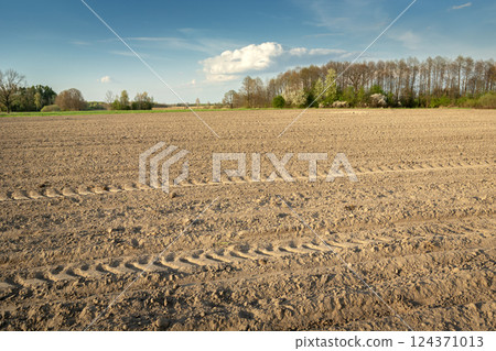 View of a dry and ploughed rural field, spring day 124371013